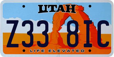 UT license plate Z338IC