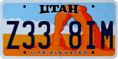 UT license plate Z338IM