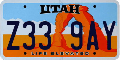 UT license plate Z339AY