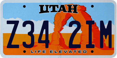 UT license plate Z342IM