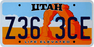UT license plate Z363CE