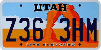 UT license plate Z363HM