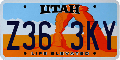 UT license plate Z363KY