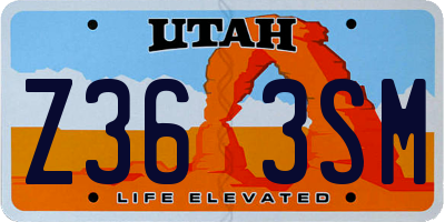 UT license plate Z363SM