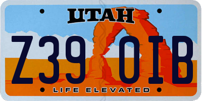 UT license plate Z390IB