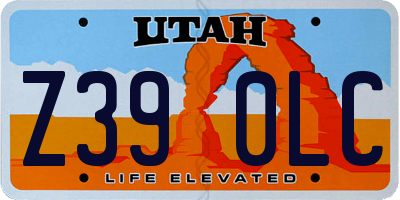 UT license plate Z390LC