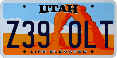 UT license plate Z390LT