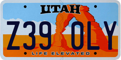 UT license plate Z390LY