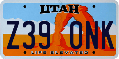 UT license plate Z390NK