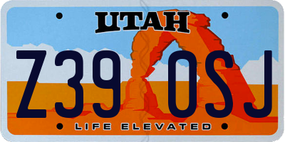 UT license plate Z390SJ