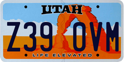 UT license plate Z390VM