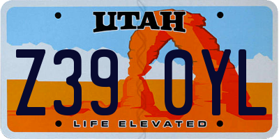 UT license plate Z390YL