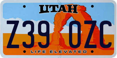 UT license plate Z390ZC