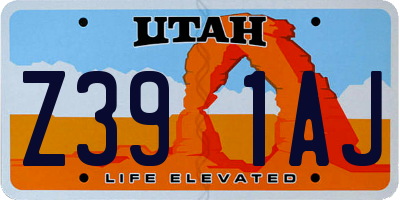 UT license plate Z391AJ