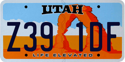 UT license plate Z391DF