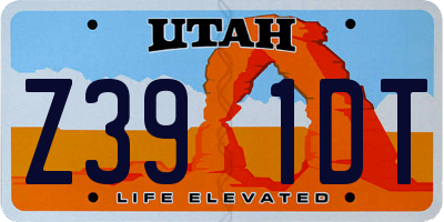UT license plate Z391DT