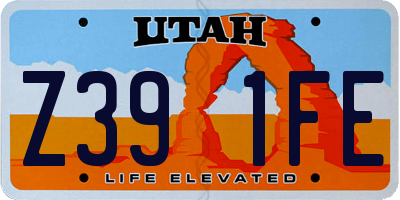 UT license plate Z391FE