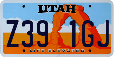 UT license plate Z391GJ