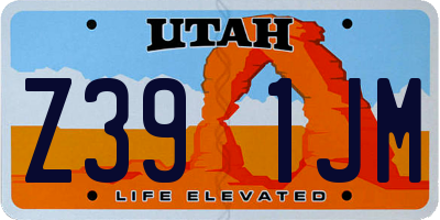 UT license plate Z391JM