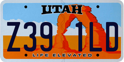 UT license plate Z391LD
