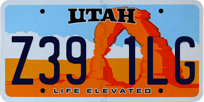 UT license plate Z391LG