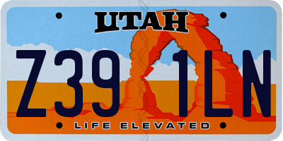 UT license plate Z391LN