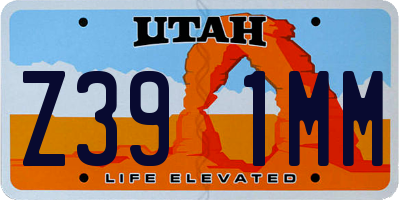 UT license plate Z391MM