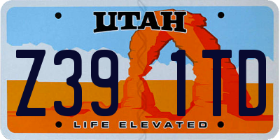 UT license plate Z391TD