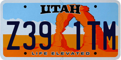 UT license plate Z391TM