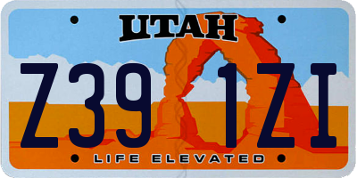 UT license plate Z391ZI