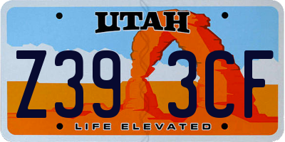 UT license plate Z393CF