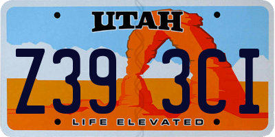 UT license plate Z393CI