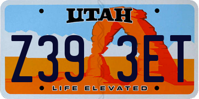 UT license plate Z393ET