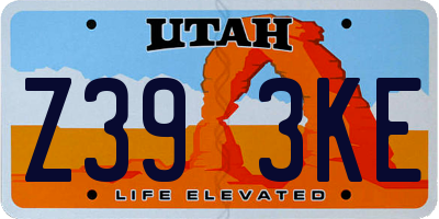 UT license plate Z393KE