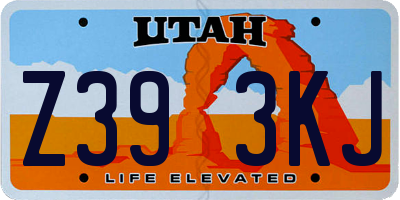 UT license plate Z393KJ