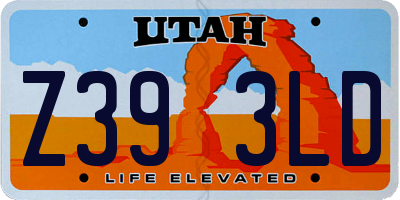 UT license plate Z393LD