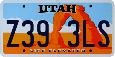UT license plate Z393LS