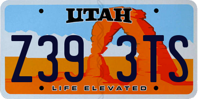 UT license plate Z393TS
