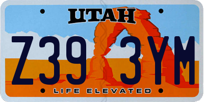 UT license plate Z393YM