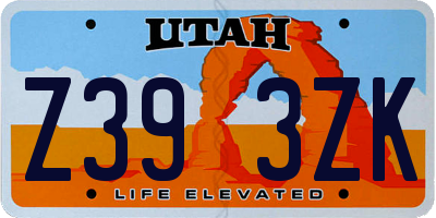 UT license plate Z393ZK