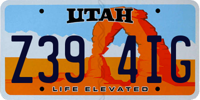 UT license plate Z394IG