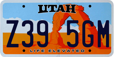 UT license plate Z395GM