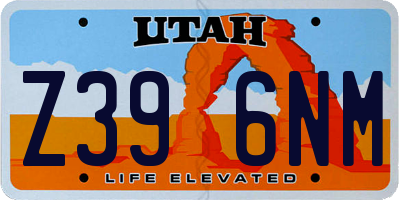 UT license plate Z396NM