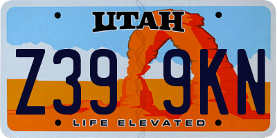 UT license plate Z399KN