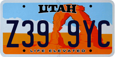 UT license plate Z399YC