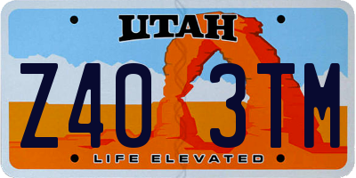 UT license plate Z403TM