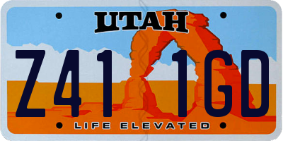 UT license plate Z411GD