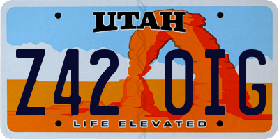 UT license plate Z420IG