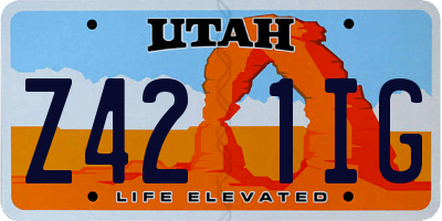 UT license plate Z421IG