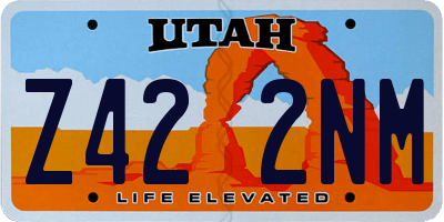 UT license plate Z422NM